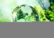 W.E.D. World Environment Day Giornata Mondiale dell'Ambiente - 5 Giugno 2020